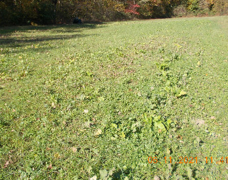 Ground Blind Plot