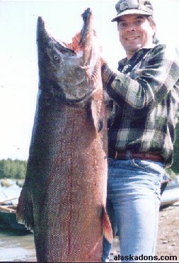 Huge King Salmon!