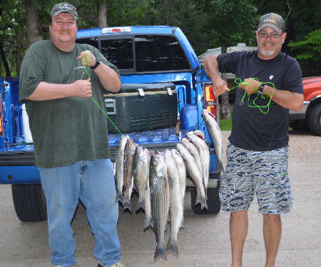 Stringer of Stripers!