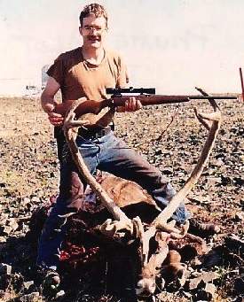 Caribou