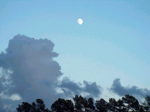 Moon Shot