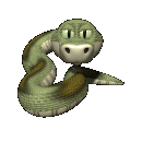 Snake Recipes