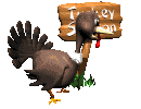 Did Someone Say Turkey Recipes?